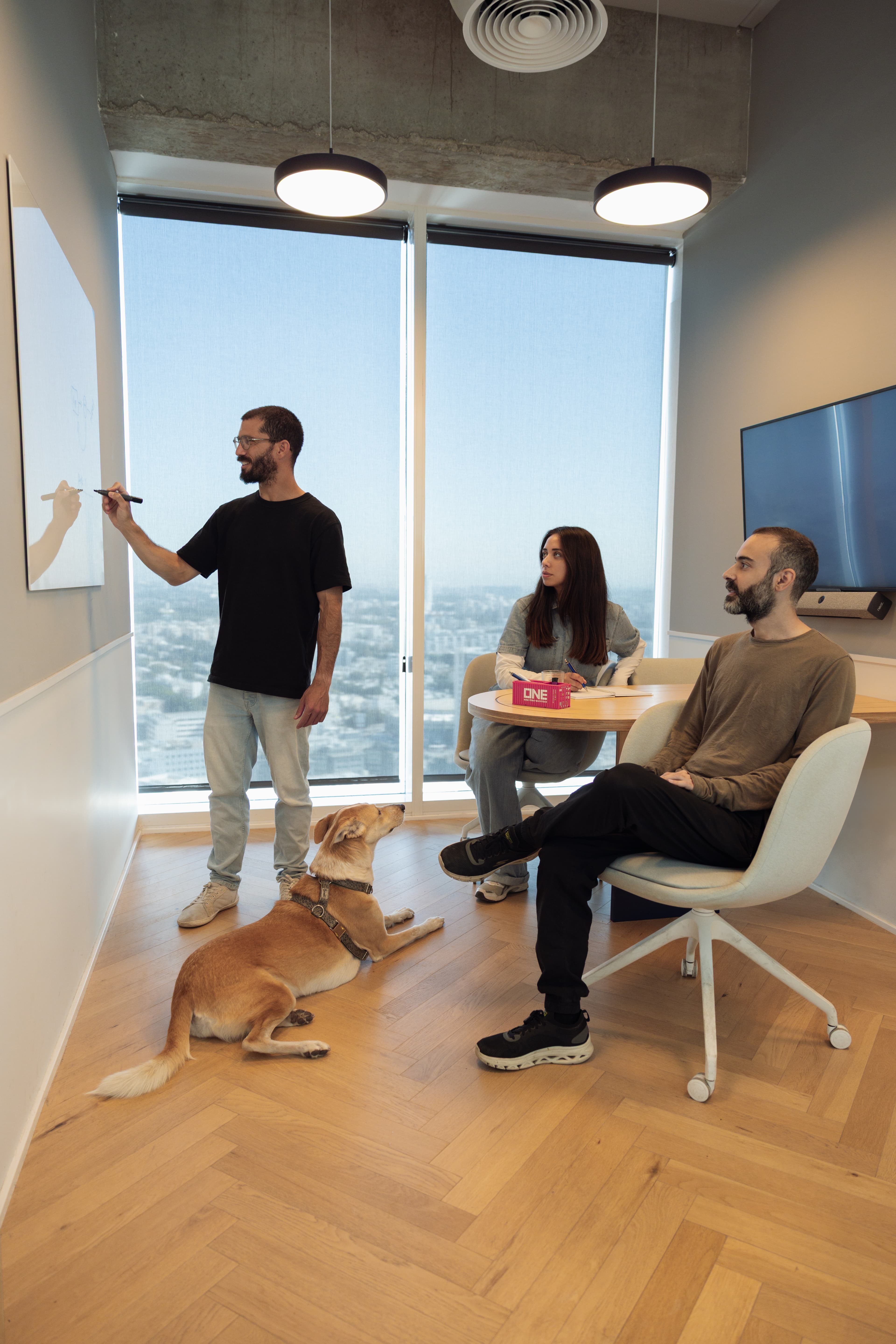 Text and image section